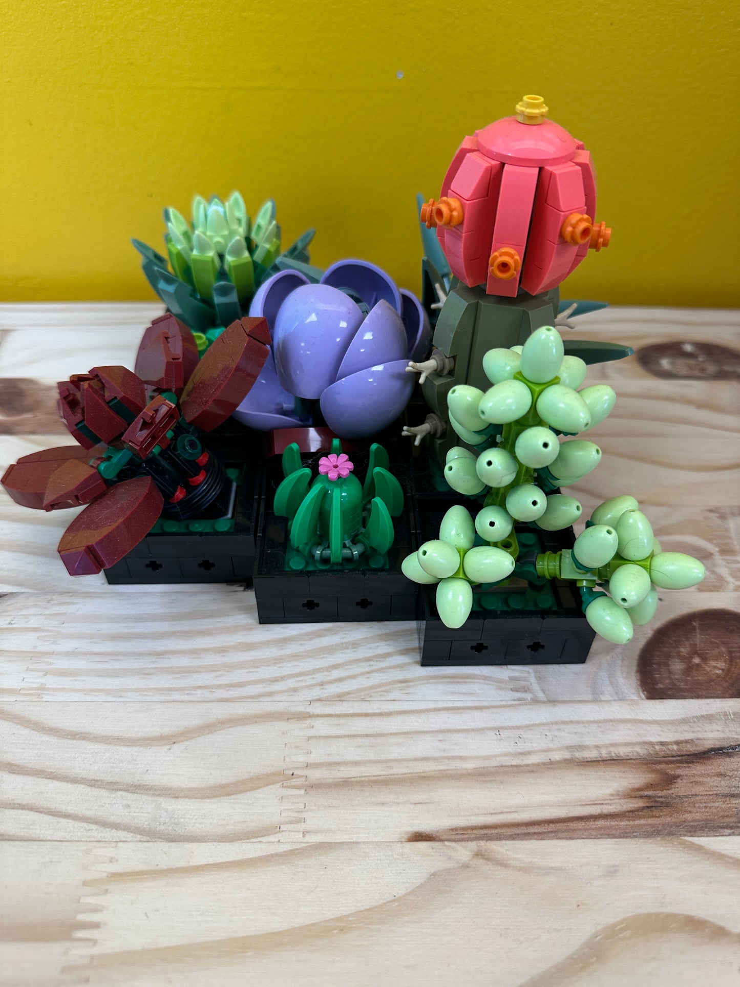 10309 Succulents *Prebuilt Set*