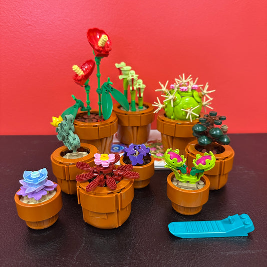 10329 Tiny Plants Botanicals