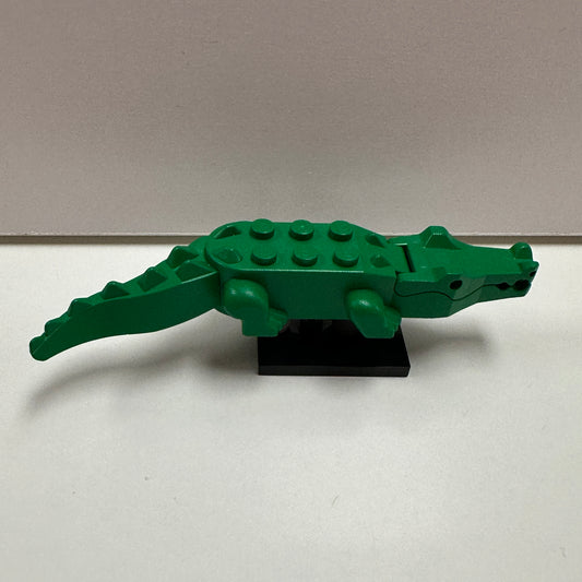 6026c01 Alligator / Crocodile with 8 Teeth